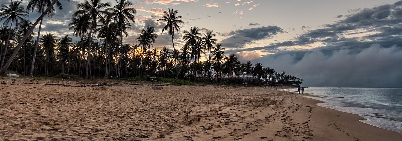 Un vol République Dominicaine pas cher avec Algofly illustré par une plage de palmiers.